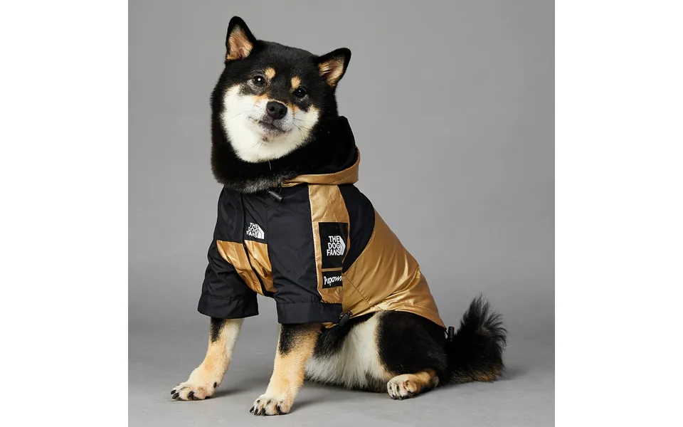 American Flag Tide Brand Windproof And Rainproof North New Dog Large Dog Raincoat Dog Pet Charge Clothes