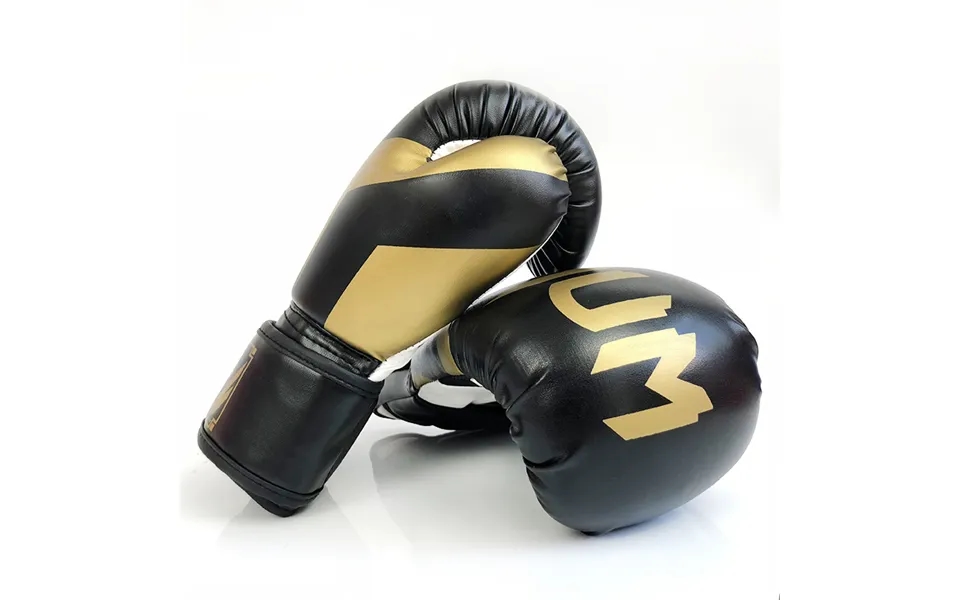 Boxing Adult Competition Training - Sets