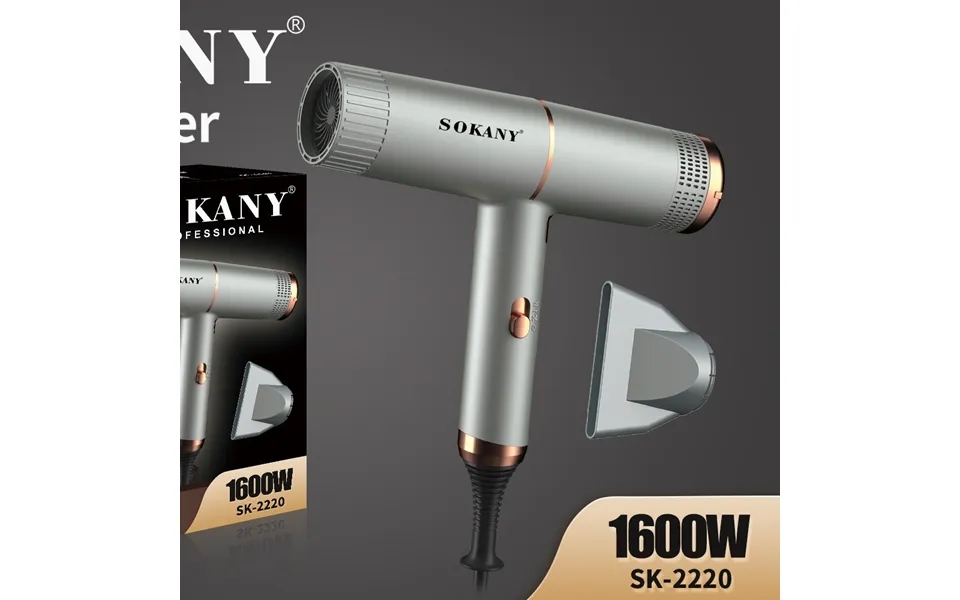 European Standard Household Multi Function Hair Dryer Beauty Salon Hair Dryer Hair Dryer