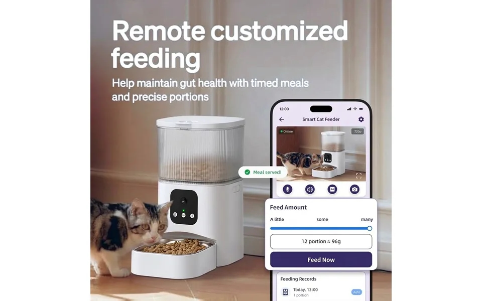 Intelligent Pet Feeder - An Automatic Food Dispenser Suitable For Cats And Small Dogs