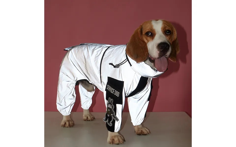 New Pet Reflective Full Coverage Four-legged Large Trendy Dog Raincoat With Attachable Armbands