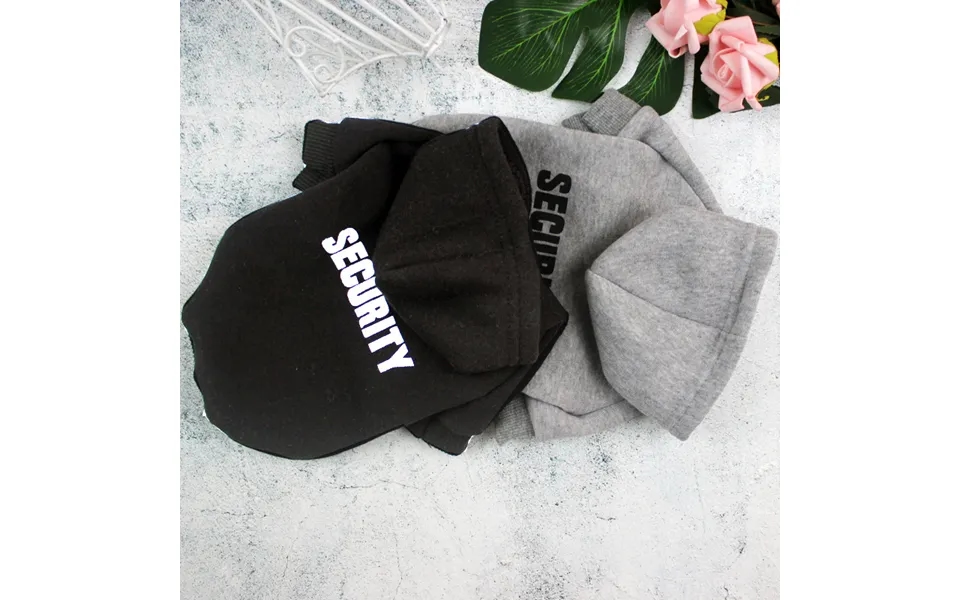 Pet Spring Autumn New Dog Letter Print Sweatshirt Small And Medium-sized Dogs Hooded Two-legged Cat Clothes