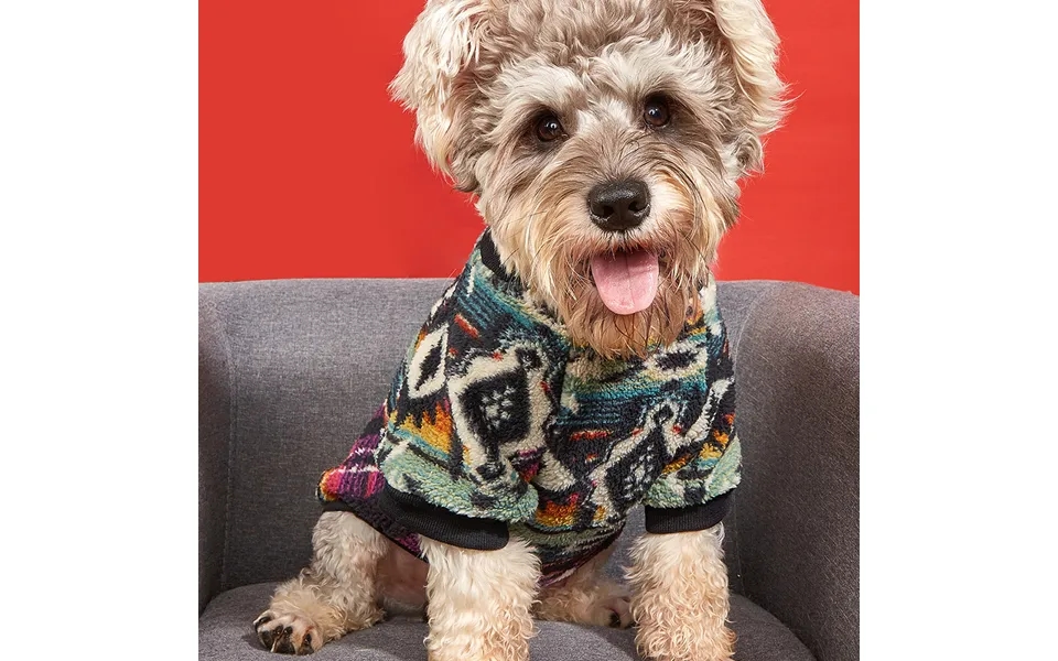 Plush Clothes Thickened Warm Autumn And Winter Pet Sweatshirt Ethnic Cat Clothes Supply Dog Clothes