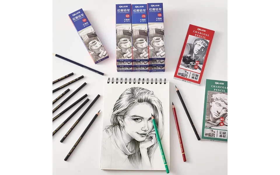 Professional Sketch Pencils Set - 12 Pack Art Graphite Pencils 2h Hb 2b 3b 4b 5b 6b 8b 10b & Charcoal Pencils Soft Mediu