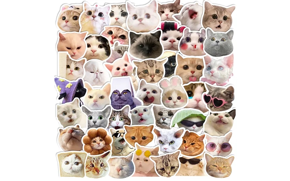 Stationery Sticker Cat Stickers Net Red Cat Expression Bag Graffiti Stickers Cute Funny Funny Cat Head