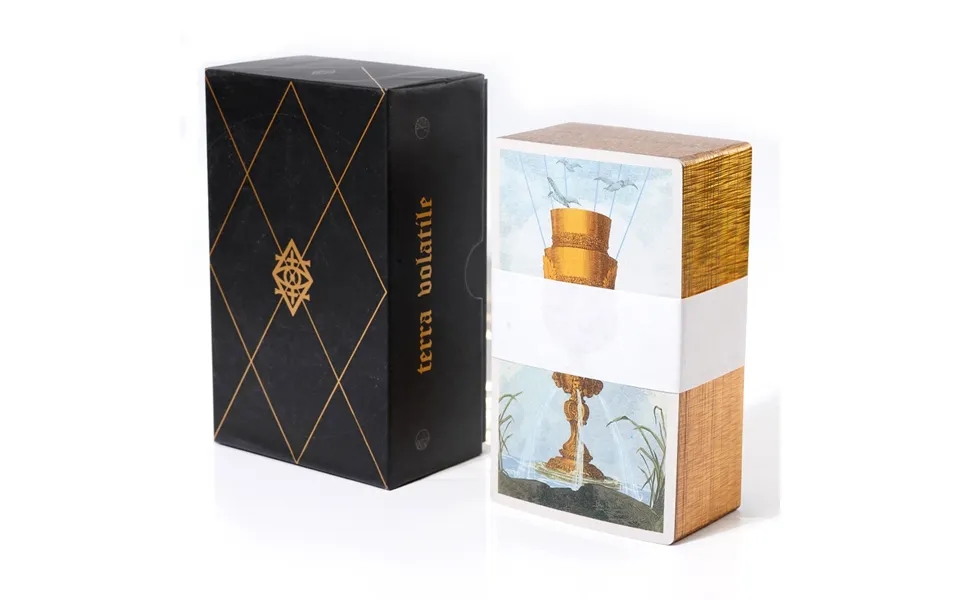Terra Volatile English High Quality Silver Gift Box Hardcover Laser Gold Plate Tarot Cards