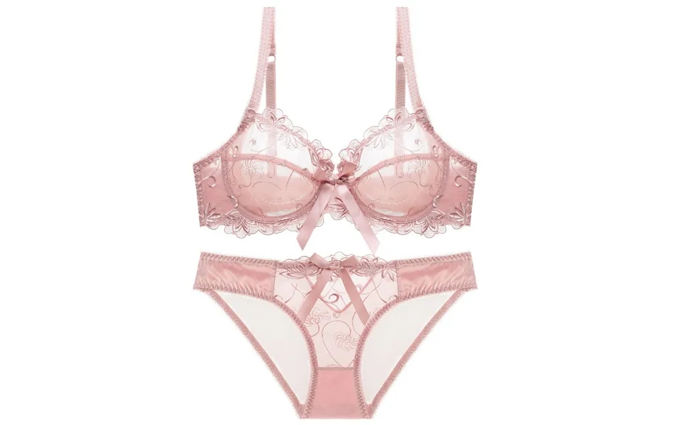 Ultra Thin Transparent Embroidered Breathable Sexy Lace Lingerie For Girls - Bra