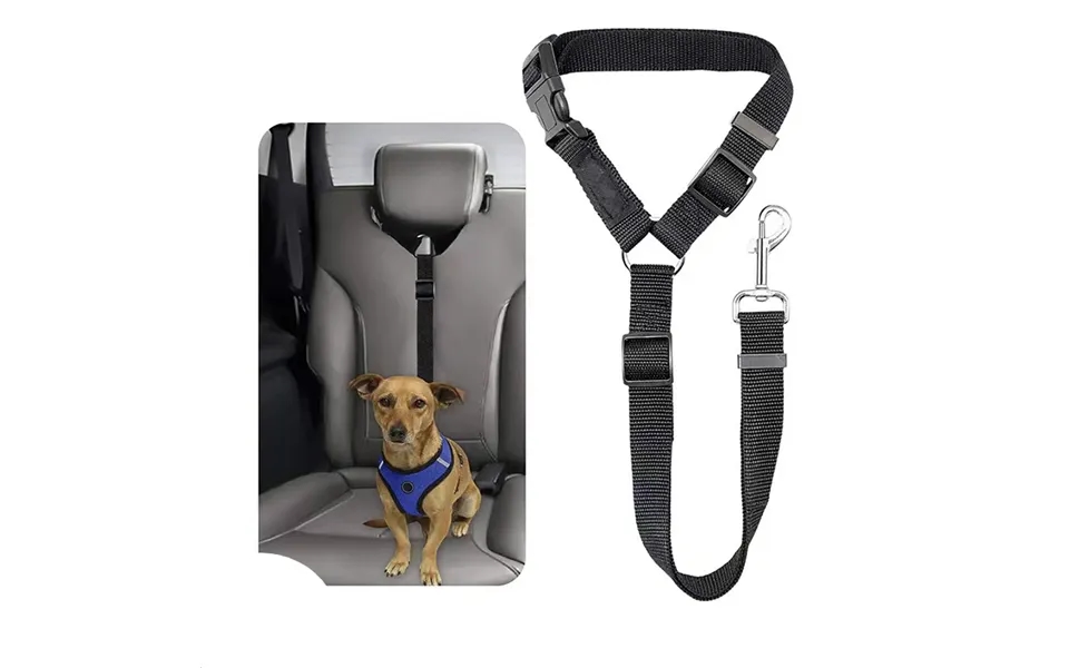 Unisex Pet Products Car Safety Traction With Ring Dog Rope Cat Rope Car Headrest Retractable Traction Rope