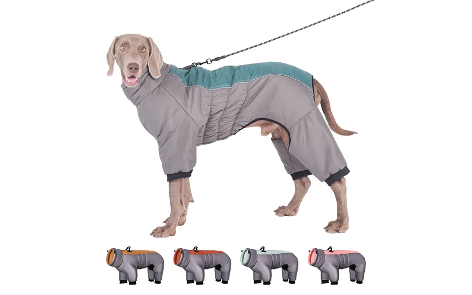 Winter Waterproof Dog Jumpsuit Polyester By Pawparty Store
