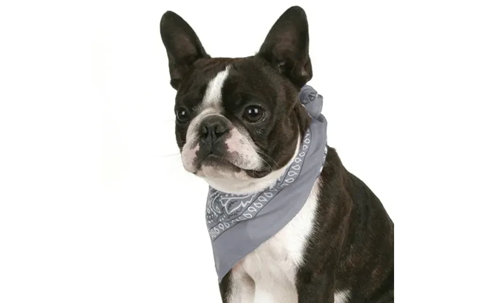 Balec Dog Bandana Paisley Durable Cotton Fabric Pet Triangle Kerchief Grey