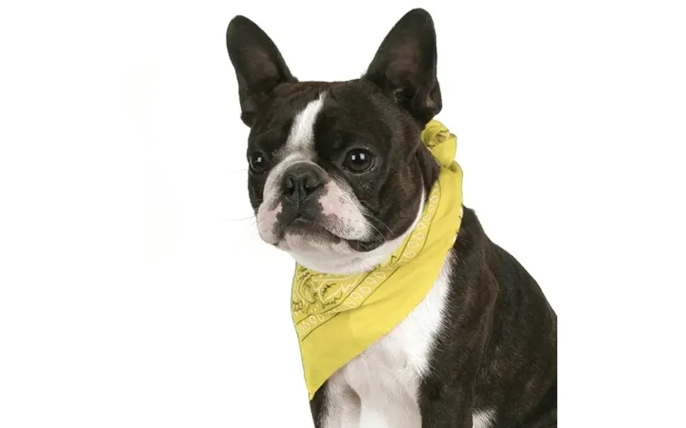 Balec Dog Bandana Paisley Durable Cotton Fabric Pet Triangle Kerchief Yellow