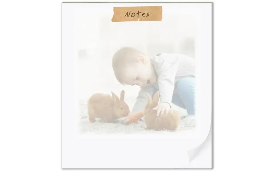 Customizable Photo Notepad Fsc Certified