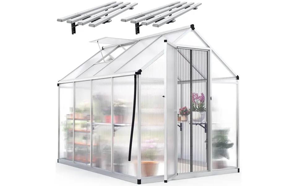 Walk-in Polycarbonate Greenhouse - 6x8x6ft-w Shelf